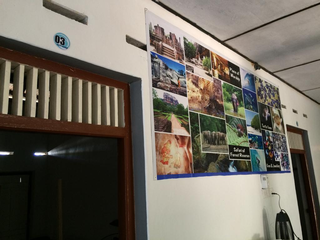 Eastwind Surf Camp Otel Arugam Bay Dış mekan fotoğraf